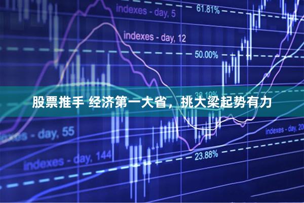 股票推手 经济第一大省，挑大梁起势有力