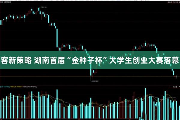 客新策略 湖南首届“金种子杯”大学生创业大赛落幕