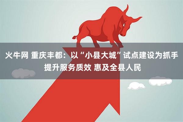 火牛网 重庆丰都：以“小县大城”试点建设为抓手 提升服务质效 惠及全县人民