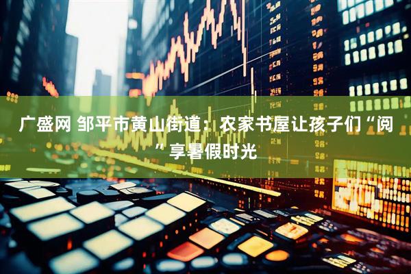 广盛网 邹平市黄山街道：农家书屋让孩子们“阅”享暑假时光