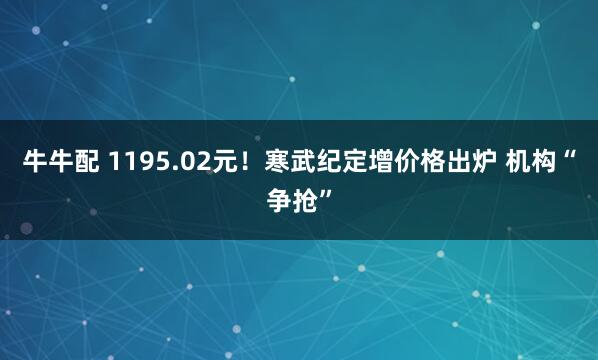 牛牛配 1195.02元！寒武纪定增价格出炉 机构“争抢”