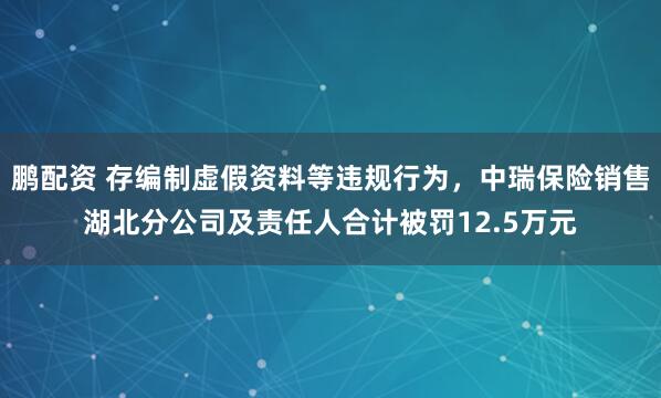 鹏配资 存编制虚假资料等违规行为，中瑞保险销售湖北分公司及责任人合计被罚12.5万元