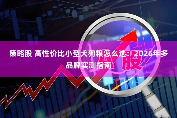 策略股 高性价比小型犬狗粮怎么选:2026年多品牌实测指南