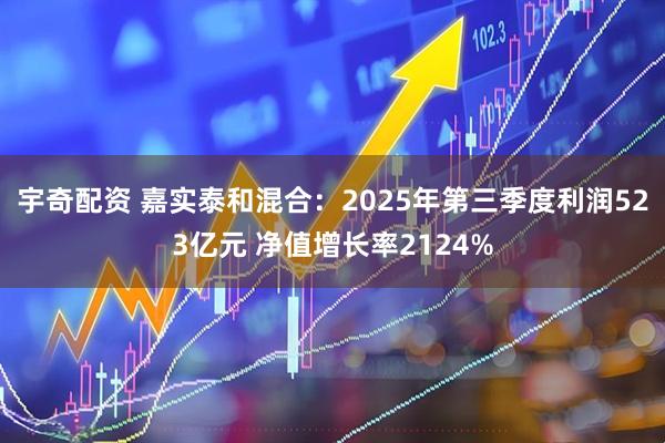 宇奇配资 嘉实泰和混合：2025年第三季度利润523亿元 净值增长率2124%