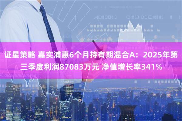 证星策略 嘉实浦惠6个月持有期混合A：2025年第三季度利润87083万元 净值增长率341%