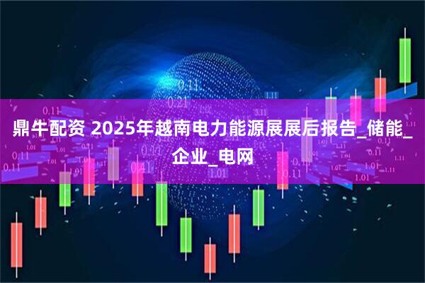 鼎牛配资 2025年越南电力能源展展后报告_储能_企业_电网
